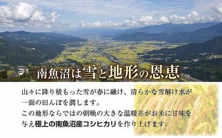 南魚沼産 コシヒカリ 5kg×3袋　計15kg いなほ新潟 農家のこだわり 新潟県 南魚沼市 塩沢地区 しおざわ お米 こめ 白米 コメ 食品 人気 おすすめ 送料無料