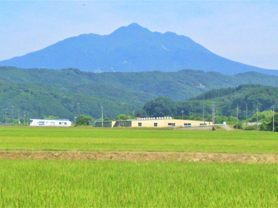 青森県鰺ヶ沢町産令和5年産 つがるロマン 白米 5kg（5kg×1袋）