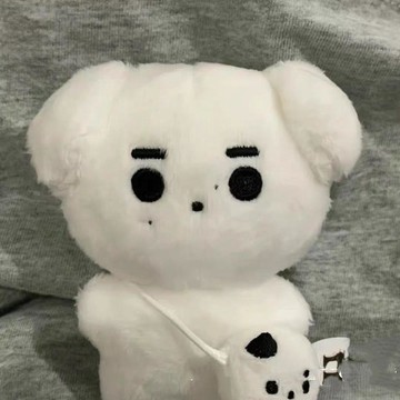 破盤下殺🌹愛豆周邊 朴志訓娃娃 박지훈 인형 棉花娃娃 ENHYPEN 裸娃 娃娃將軍 抽象玩偶老鼠干 生日禮物 交換