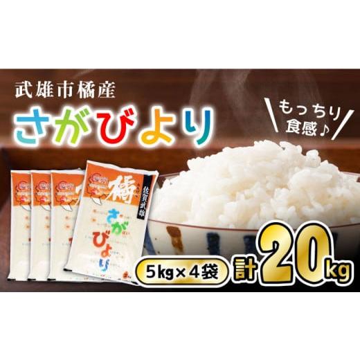 ふるさと納税 佐賀県 武雄市 令和5年産 新米 武雄市橘産 さがびより 20kg（5kg×4袋） 米 こめ [UCL003]