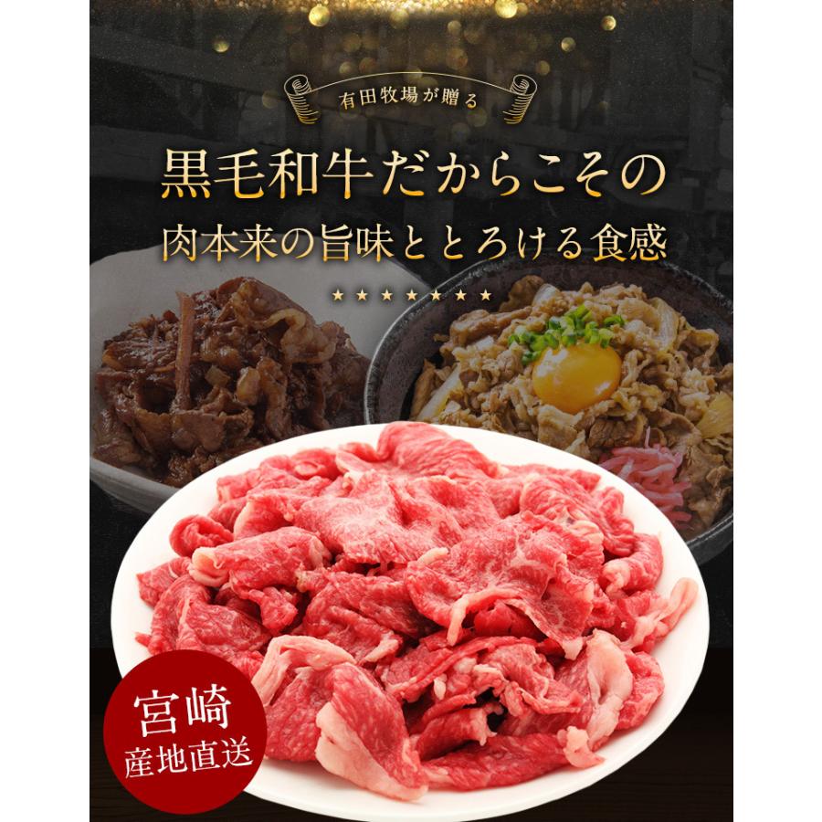 牛肉 九州産 黒毛和牛 切り落とし 800g (400g×2) セット 宮崎 有田牧場 国産 送料無料 鍋 焼肉 プレゼント ギフト お取り寄せグルメ 高級 [産直]