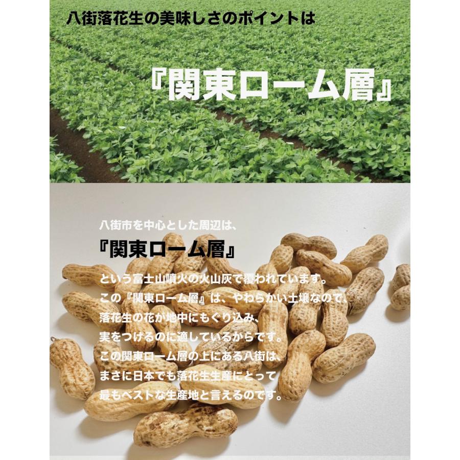 千葉 八街産 落花生 素焼き 半立 素煎り 200g 