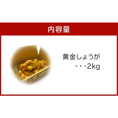 ふるさと納税 高知のブランド生姜「黄金しょうが」2ｋｇ 高知県香美市