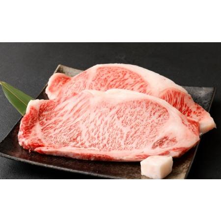 ふるさと納税 京都肉サーロインステーキ（約440g）＆京都肉モモバラ焼肉セット（約380ｇ） 京都府京都市