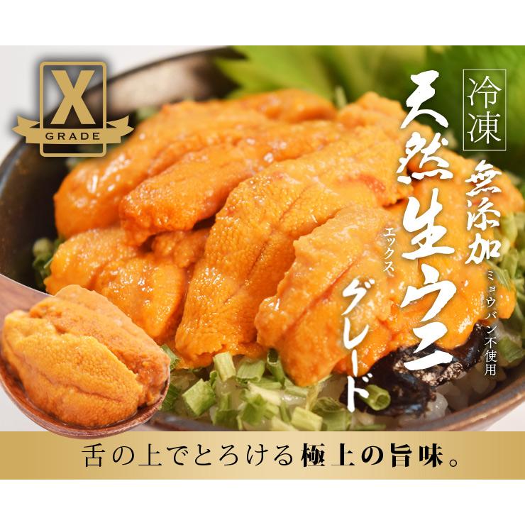 うに 天然 生 ウニ 特選品 Ｘグレード ３００ｇ（１００ｇ×３パック） 冷凍 刺身 雲丹 無添加 海鮮丼