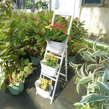 公司貨/附發票 美式鄉村復古白木梯鐵桶花架戶外別墅庭院陽臺創意梯形花園雜貨 免運