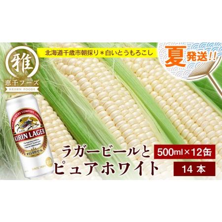 ふるさと納税 2024年夏発送 キリンラガービール 500ｍl 12缶＆白いとうもろこしピュアホワイト14本 北海道千歳市