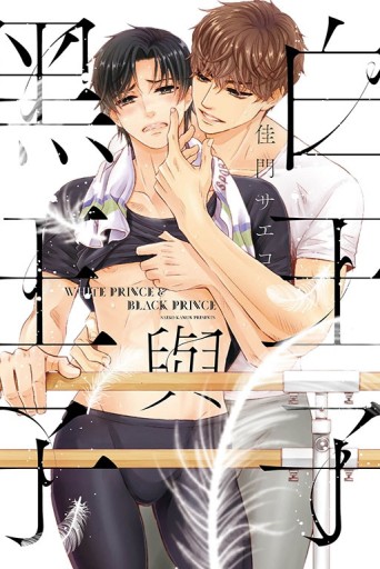 白王子與黑王子（全）（首刷限定版）[二手書_良好]
