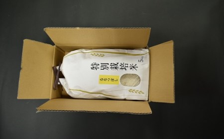 北海道浦河町の特別栽培米「ななつぼし」精米(5kg×1袋)定期便(全12回)[37-1221]