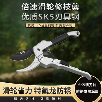 【滑輪省力】原裝滑輪剪 剪枝剪 修枝剪刀 果樹剪 花剪 修剪樹枝 園藝樹枝修枝剪 園藝剪刀 高枝剪