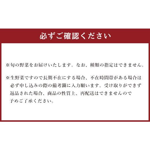 ふるさと納税 熊本県 西原村 生産者応援 採れたて新鮮 旬のお野菜 詰め合わせセット