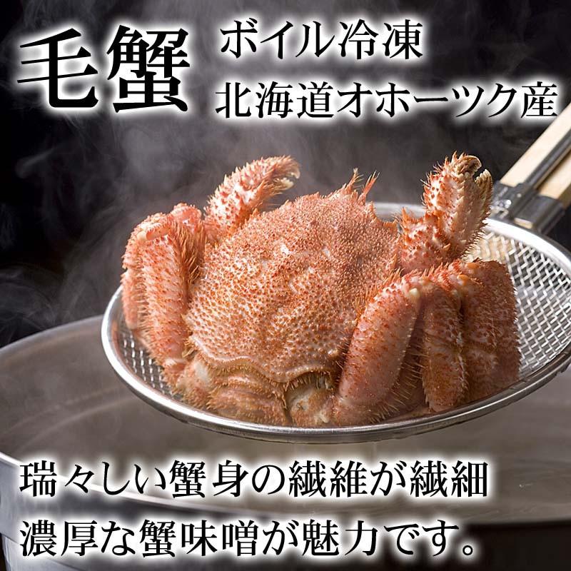 (送料無料) 海鮮グルメ盛りセット 北海道産 お取り寄せ カニ ほっけ ホタテ 甘エビ イカ塩辛 海鮮詰め合わせ、福袋(ギフト)