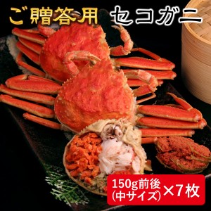 セコガニ（せこがに せいこがに）150g前後（中サイズ）×7枚 日本海産 未冷凍 お歳暮ギフト 送料無料（北海道・沖縄を除く）