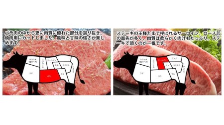 土佐和牛A5満喫セット2.3kg「南国」 牛肉 ステーキ 焼肉 すきやきしゃぶしゃぶ