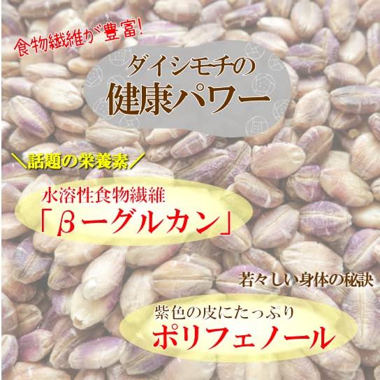 もち麦 800g 佐賀県産 紫もち麦 ダイシモチ ミヤハラ農園