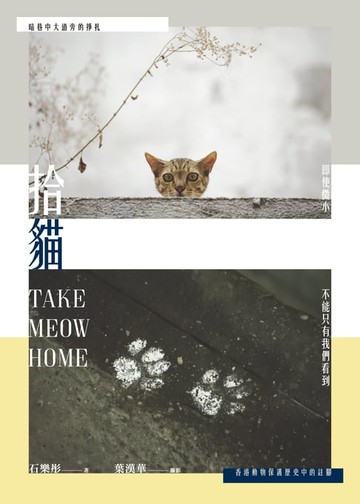 【電子書】拾貓