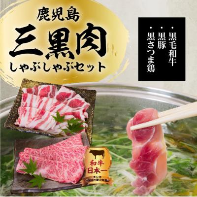 ふるさと納税 鹿児島市 鹿児島三黒肉(黒毛和牛・黒豚・黒さつま鶏)のしゃぶしゃぶセット 700g