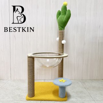 暮光金沙仙人掌貓跳台