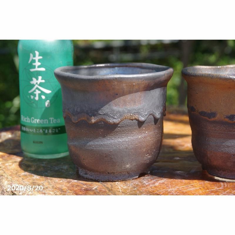 鉢 信楽焼植木鉢」の人気商品一覧 | 安い商品を通販サイトから探す