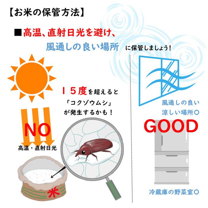 新米　田中米穀　新潟魚沼産こしひかり20kg（5kg×4袋）　新潟県産　お米　白米　コシヒカリ　令和5年度産