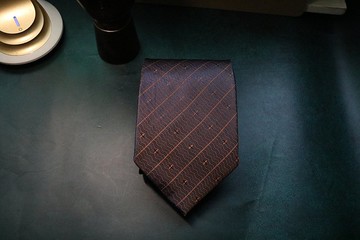 咖啡色條紋領帶真絲成熟魅力男人necktie
