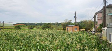 新豐便宜資材室｜新竹縣新豐鄉福興段後湖子小段