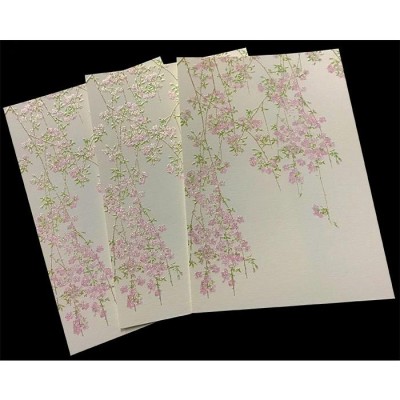 はがき ポストカード 絵葉書 桜 2021年 春 新作 花 和風 季節 枝垂れ桜 