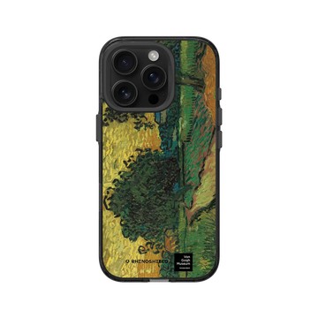 iPhone 16 Pro Clear (相機按鈕) 酷墨灰 - Van Gogh Museum - 日暮風光