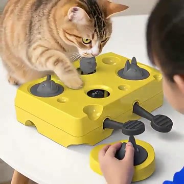 貓咪玩具自嗨解悶神器寵物貓咪慢食益智打地鼠起司盒互動