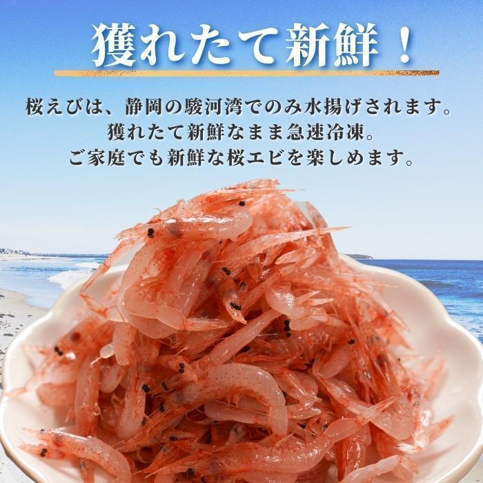 駿河湾産 静岡県 生桜えび 無添加「生桜えび 100g×1パック」鮮度抜群 大井川港水揚げ 桜えび 産地直送