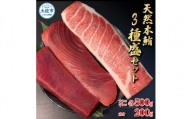 天然本鮪　大トロ・中トロ　各500ｇ・赤身200ｇ　まぐろ3種盛セット 食べ比べセット マグロ まぐろ 本まぐろ 刺し身 刺身 魚 海鮮 冷凍 故郷納税 ふるさとのうぜい 返礼品 高知県 高知 85000円