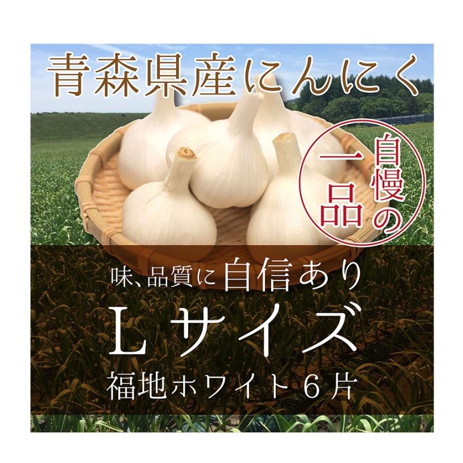 青森産 にんにく 1kg 送料無料 送料発生