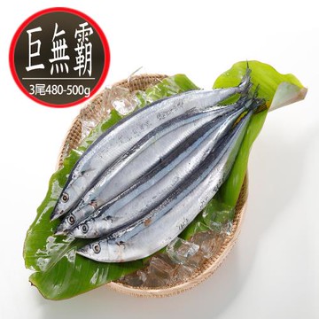 【華得水產】台灣巨無霸野生秋刀魚8包組(480-500g 約3尾/包)