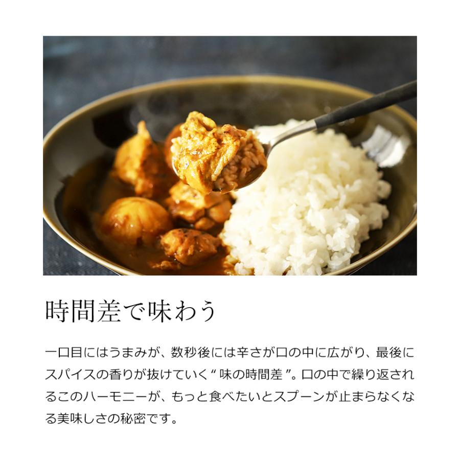 ［ BALMUDA The Curry ］ バルミューダ ザ・カレー レトルトカレー 本格 辛口 2食セット デリー カレー レトルト カレールー カレーライス スパイスカレー