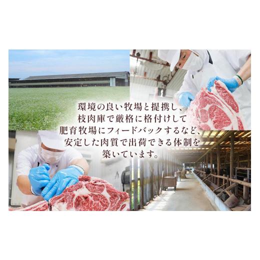 ふるさと納税 岐阜県 本巣市 [A5等級] 飛騨牛モモすき焼き・しゃぶしゃぶ用3kg [0855]