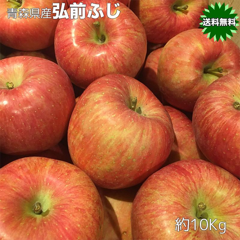 りんご 10Kg 訳あり 青森県産 弘前 ふじ 10kg サイズいろいろ 送料無料 SDGS