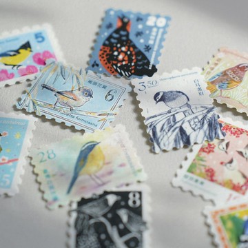 和紙貼紙包 | 臺灣特有種系列 - 臺灣藍鵲小隊 / 冠羽畫眉小隊