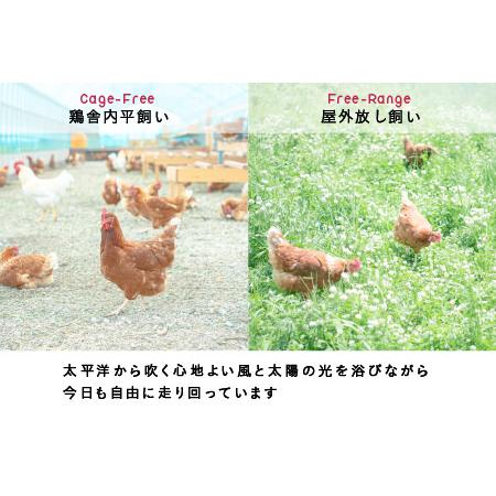 ふるさと納税 無投薬・自然養鶏の平飼い自然卵＜25個セット＞ 北海道厚真町