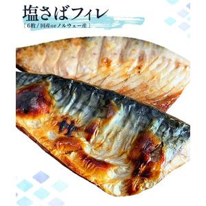 ふるさと納税 G7010_迷ったらコレ！！魚鶴商店の天然紅サケ 1kg  塩さば 6枚セット 和歌山県湯浅町