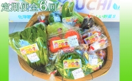 『定期便』季節野菜の詰め合わせ全6回