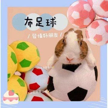 哈密兔事·布足球|發情專用熱銷好評·新款粉紅超可愛·互動感足球 發洩發情期玩遊戲適用 兔兔興奮期 兔子玩具 兔玩具兔用品