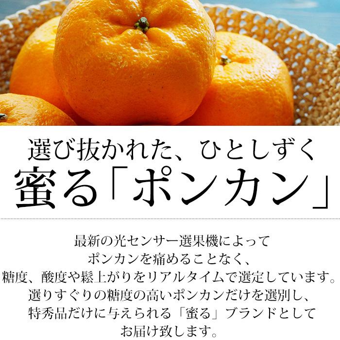 みかん 愛媛県産 ポンカン 蜜る 特秀品 約5kg 2L〜3Lサイズ 22〜28個