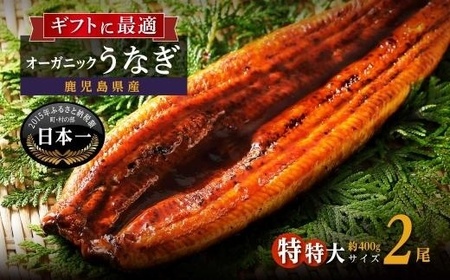 泰正オーガニックうなぎ蒲焼　特特大2尾400g以上