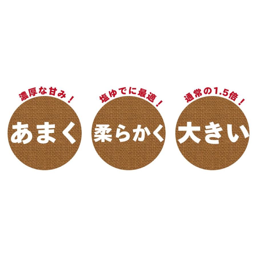 新豆 ゆで落花生 千葉県 おおまさり 殻つき 160g 国産 プレゼント