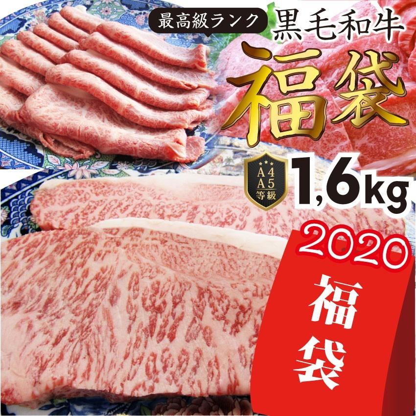 牛肉 肉 特松 福袋 黒毛和牛 A4 A5等級のみ使用 1.6kg 凍眠 テクニカン 肉の福袋 3種 超豪華福袋セット お歳暮 ギフト 食品 お祝い