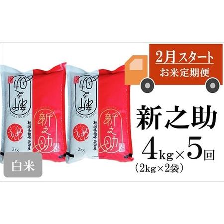 ふるさと納税 ヤタらうんめぇ 新之助 白米 4kg（2kg×2袋）×5回（計 20kg） [G431] 新潟県柏崎市