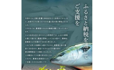 海鮮「ブリの漬け丼の素」1食80g×5P＋「マグロの漬け丼の素」1食80g×5P《迷子のブリを食べて応援 養殖生産業者応援プロジェクト》応援 順次出荷中 惣菜 冷凍 保存食 小分け 高知 海鮮丼 一人暮らし〈高知市共通返礼品〉