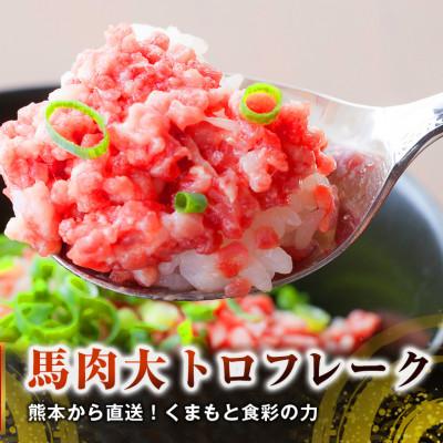 ふるさと納税 宇城市 熊本直送　国産馬刺しブロック肉　上霜降り(トロ)400g 大トロフレーク300gセット(宇城市)