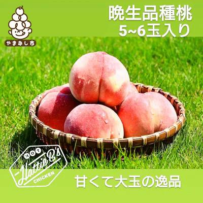 ふるさと納税 山梨市 晩生種桃5〜6玉入農家直送　約2kg(5〜6玉入り)箱 ふるさと納税