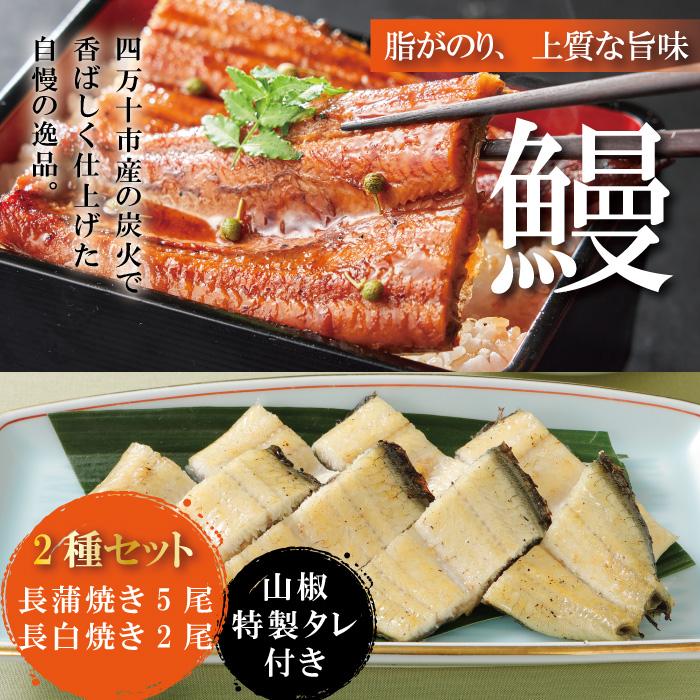 R5-369．＜四万十食品＞うなぎ蒲焼　長焼５尾＋白焼２尾／Ｆ